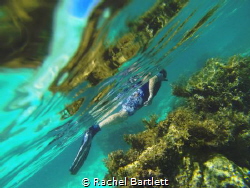 This shot is of my husband whilst we were snorkelling on ... by Rachel Bartlett 